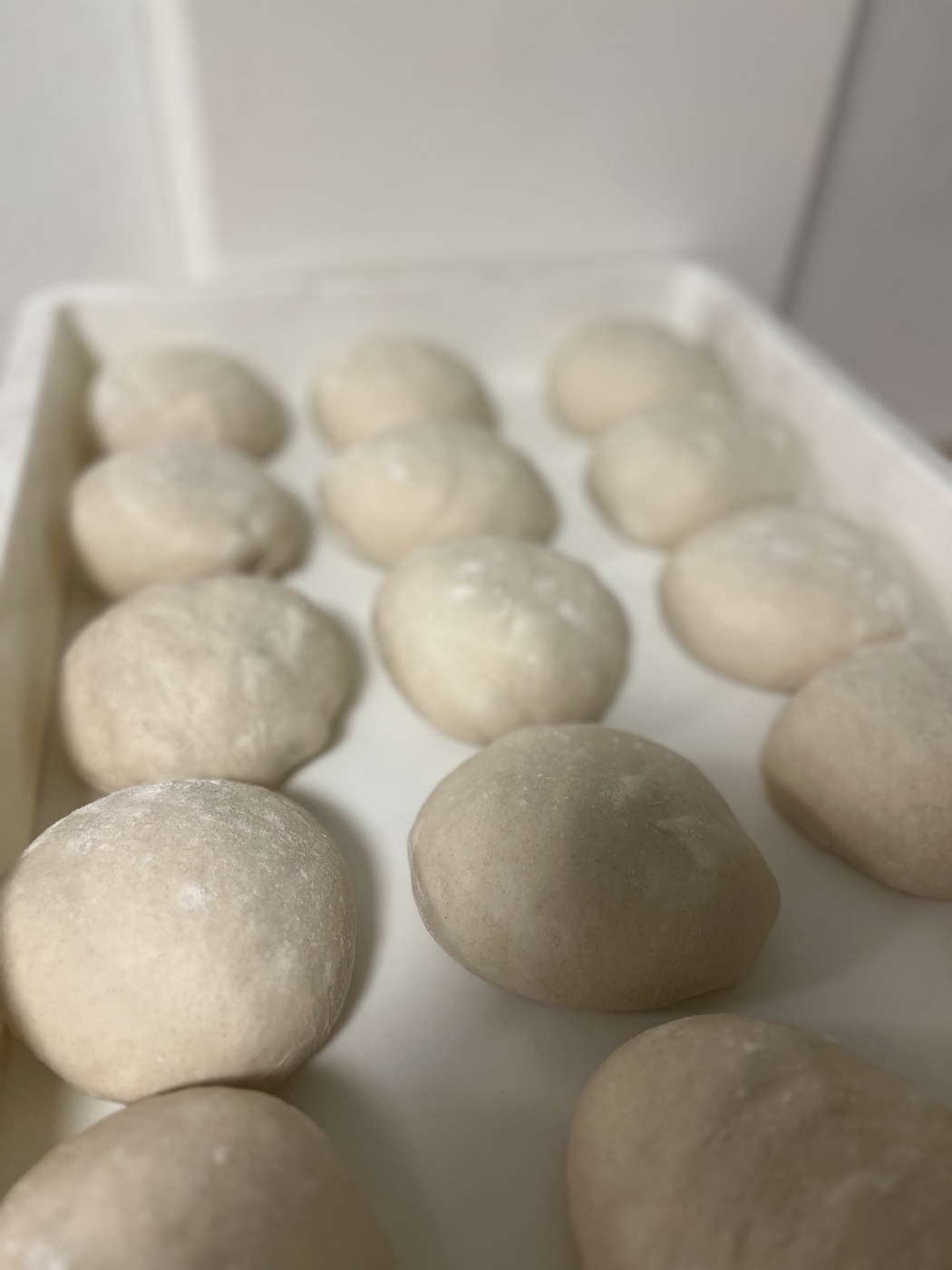 Roots sourdough resting in a proofing tray
